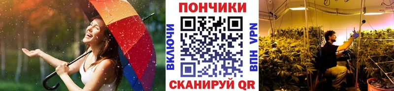 Магазин наркотиков Жуковский ОМГ ОМГ зеркало  Амфетамин  СК  Меф  Гашиш  КОКАИН  Канабис 