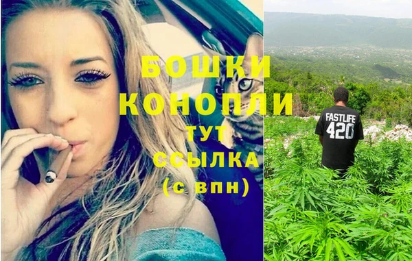 шишки Алексин