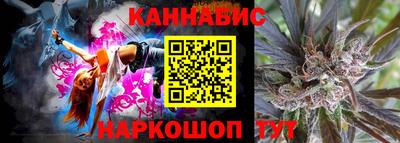 стаф Новокубанск