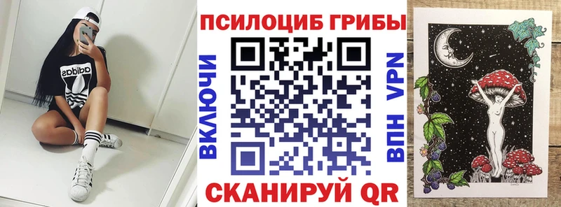 Псилоцибиновые грибы мицелий  МЕГА ссылки  Жуковский 